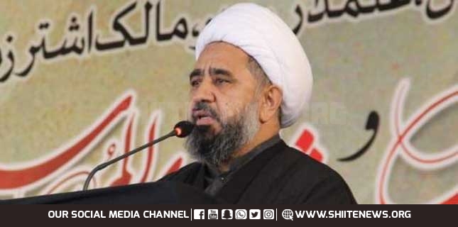علامہ امین شہیدی