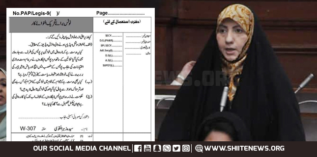 زہرا نقوی