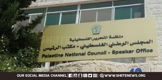 فلسطین نیشنل کونسل