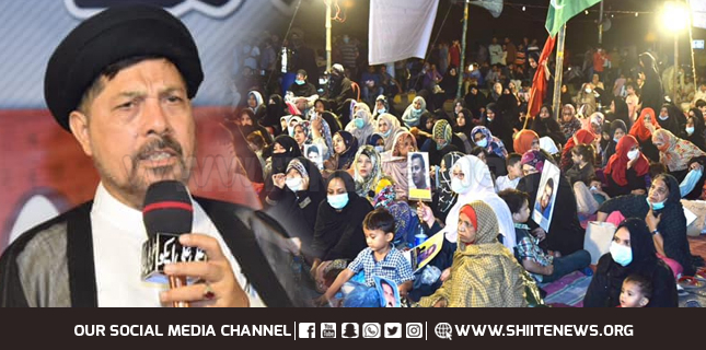 علامہ باقر زیدی