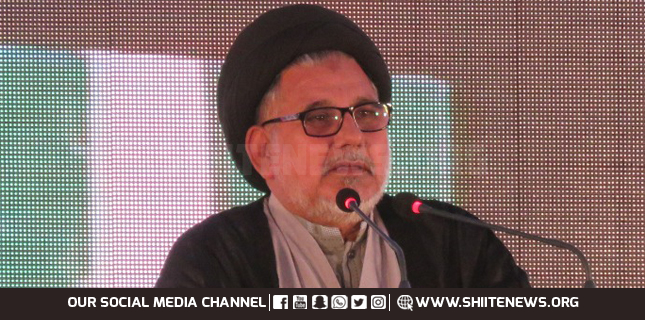 علامہ حسن ظفر نقوی