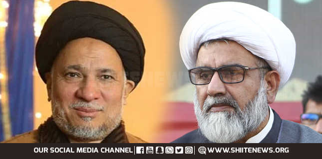علامہ محمد عون نقوی
