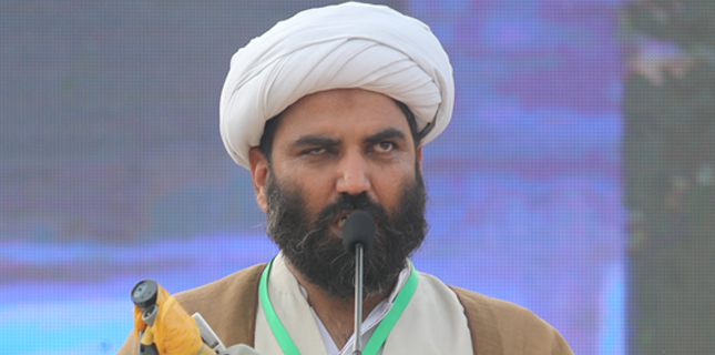 ڈومکی