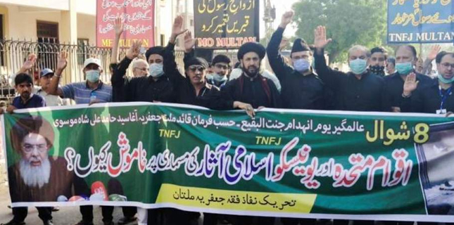 ٹی این ایف جے