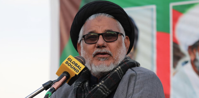 حسن ظفر نقوی