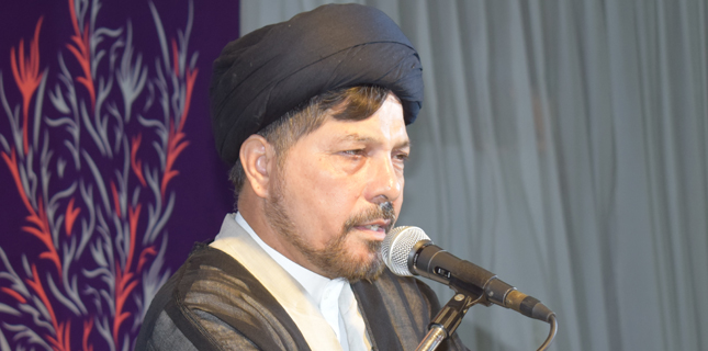 علامہ باقر زیدی