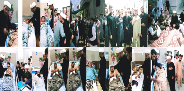 دہشت گردی