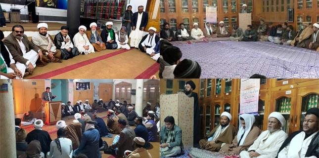 شیعہ علماء کونسل