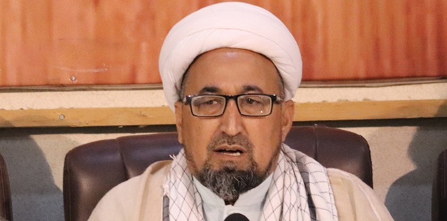 علامہ صادق جعفری