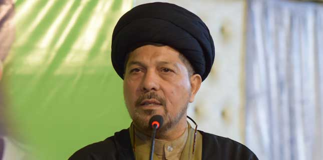 علامہ باقر زیدی