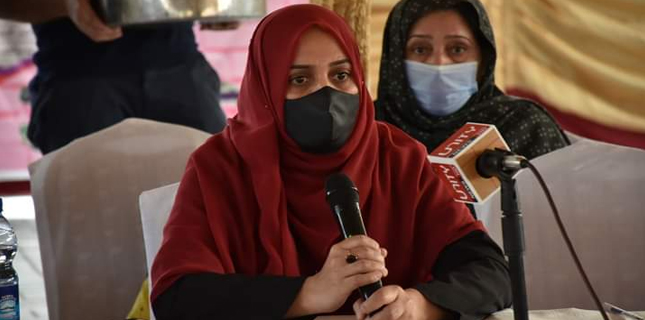 امپورٹڈ حکومت