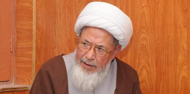 علامہ شیخ حسن جعفری