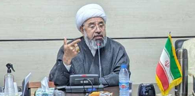 علامہ امین شہیدی