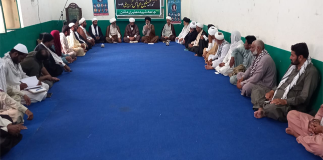 مجلس علمائے شیعہ