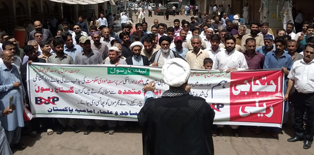ہیت آئمہ مساجد و علمائے امامیہ پاکستان