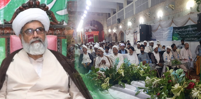 مجلس علمائے امامیہ