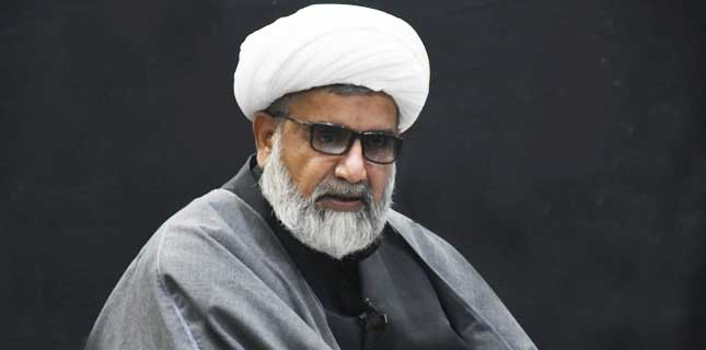 علامہ راجہ ناصرعباس