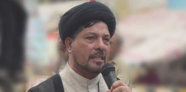 علامہ باقر زیدی