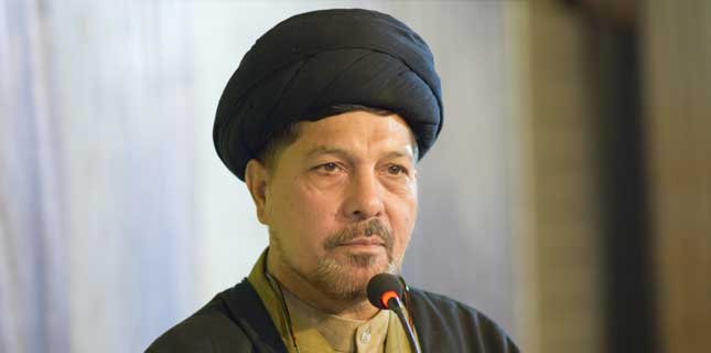 علامہ باقرعباس زیدی