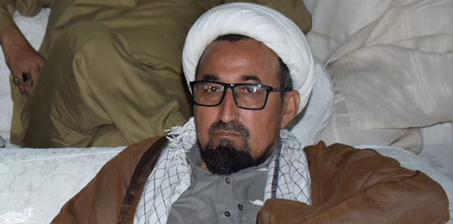 علامہ صادق جعفری