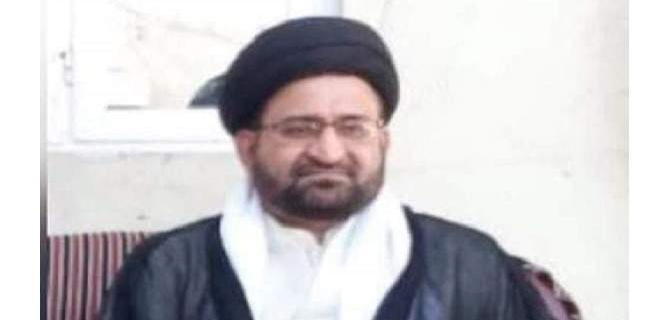 حسن مہدی نقوی