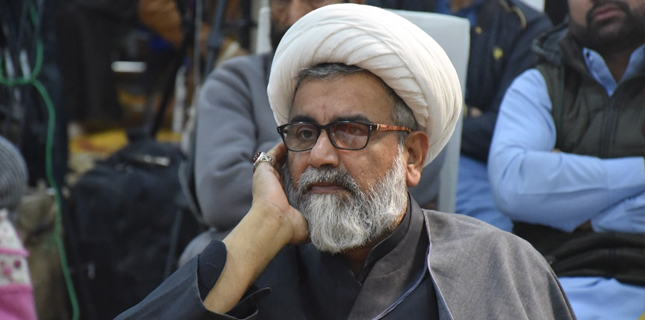 علامہ راجہ ناصرعباس