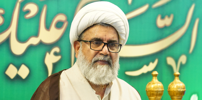 راجہ ناصرعباس