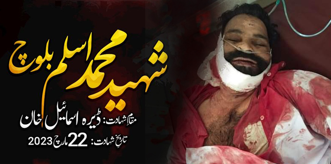 شیعہ