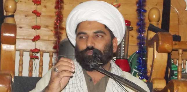 ڈومکی