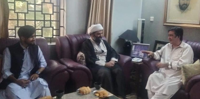 ڈومکی