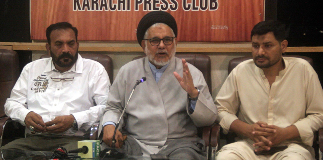 علامہ حسن ظفرنقوی