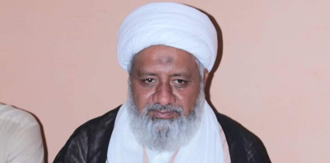 علامہ افضل حیدری