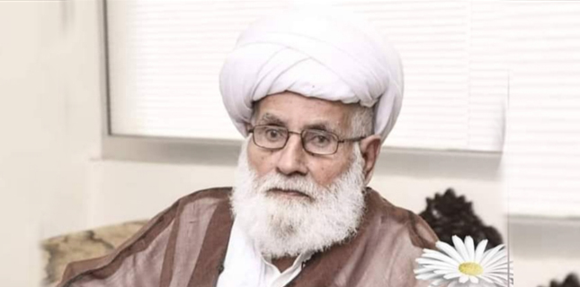 محمد حسین نجفی