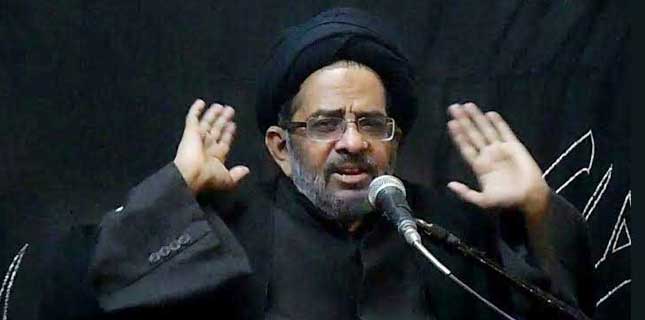 علامہ رضی جعفر نقوی