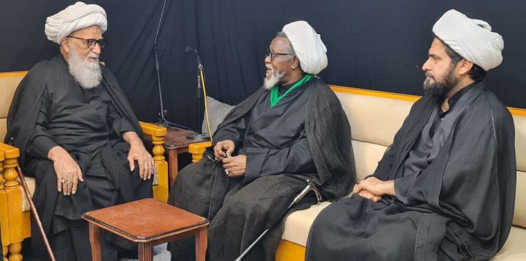 آیت اللہ العظمی حافظ بشیر حسین نجفی سے حجۃ الاسلام شیخ زکزاکی کی ملاقات