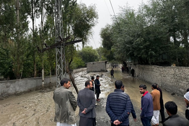 پاکستانی