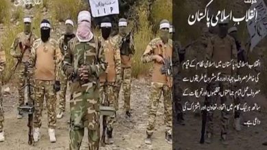 انقلاب اسلامی پاکستان