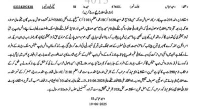 ناموس