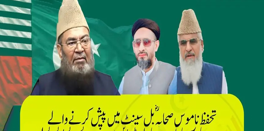 تحفظ ناموس (بنوامیہ) بل کے پیش کار حافظ عبدالکریم دوبارہ سینیٹر منتخب، کالعدم سپاہ صحابہ اور لشکر جھنگوی کی مبارکباد