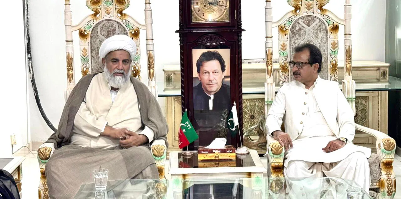 سینیٹر علامہ راجہ ناصر عباس کی پی ٹی آئی سندھ کے صدر حلیم عادل شیخ سے ملاقات، ملکی صورتحال پر تبادلہ خیال