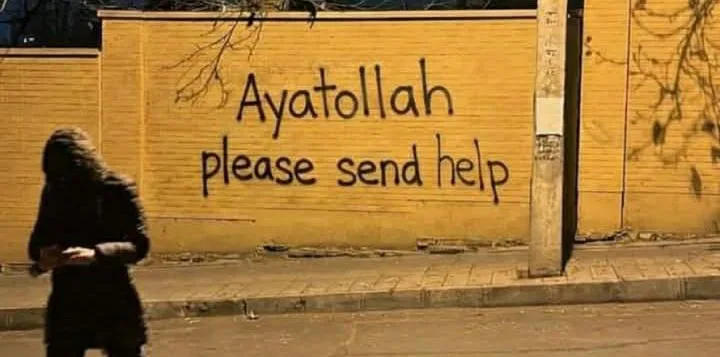 امریکہ میں ٹرمپ کے خلاف بڑے پیمانے پر مظاہرے: مظاہرین کی آیت اللہ خامنہ ای سے مدد کی فریاد