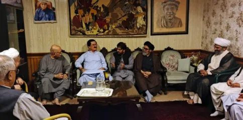 ایم ڈبلیو ایم وفد کی محمود خان اچکزئی سے ملاقات