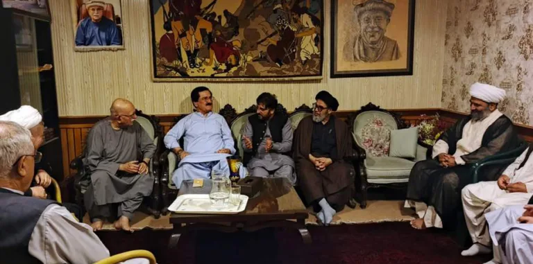 ایم ڈبلیو ایم وفد کی محمود خان اچکزئی سے ملاقات