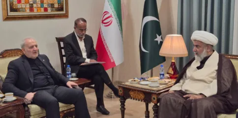 سینیٹر علامہ راجہ ناصر عباس جعفری نے ایرانی سفیر رضا امیری مقدم سے ملاقات، مختلف امور پر تبادلہ خیال