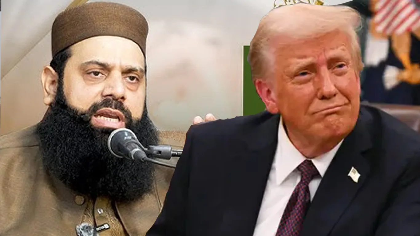 ہشام الہیٰ ظہیر