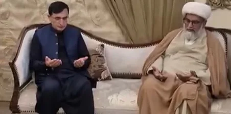 علامہ راجہ ناصر عباس جعفری