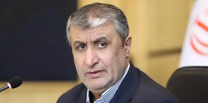 نئے پروٹوکول کے بغیر آئی اے ای اے کو جوہری تنصیبات کے معائنے کی اجازت نہیں، محمد اسلامی