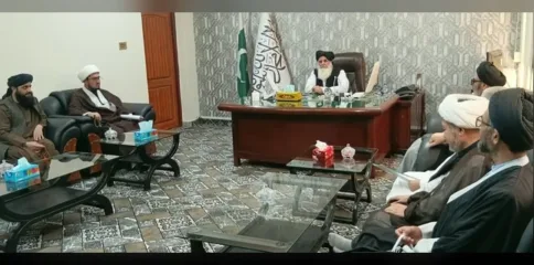 افغانستان میں ہزارہ شیعوں کے مسائل حل کیے جائیں، علمائے کوئٹہ