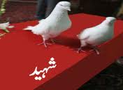 Mehdi Shah martyrs in Bhakkar City