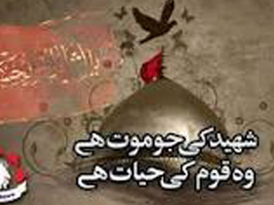 shiitenews shaheed